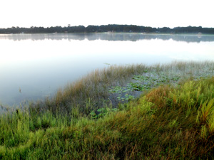 Little Lake Weir